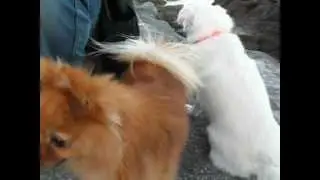 mis dos peque&ntilde;as