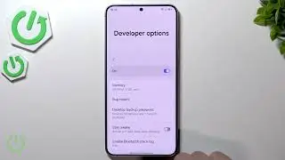 Samsung Galaxy S25+: DPI Settings
