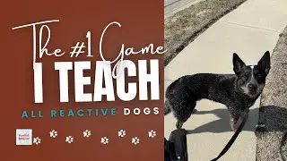 The #1 Game I Teach All Reactive Dogs (Distraction, Mark, Treat Game)