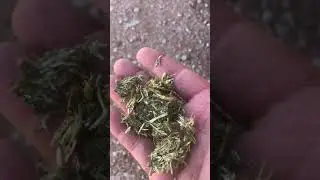 Alfa-Lux 100% Alfalfa Cubes (softness demo)
