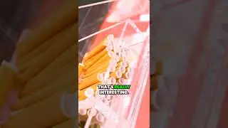 Почувствуйте вкус, а не только аромат! 🍃✨ Вы пробовали шишки с древесными кончиками? 🤔 #вкус