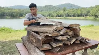 Best Tree Bark Recycling: Making Awesome Home Furniture from Waste Wood!