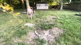 Reis&rsquo;s Back Yard Survival Game 