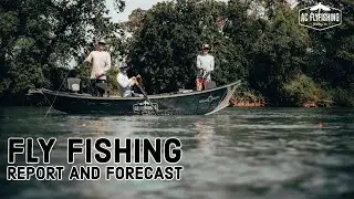 Northern California Fly Fishing Report and Forecast- 2/17/20