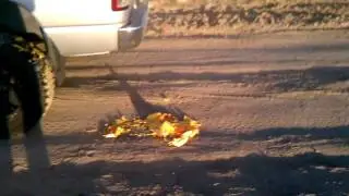 SMASHING PUPMKINS