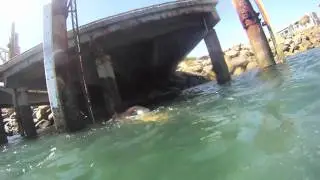 jetty jump
