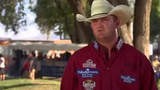 Steer Wrestling Wonder Horses