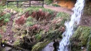 Maspie Den, Falkland, Fife.