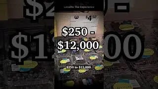 Is Fair Pay A Dream in Australia? Localite: The Experience