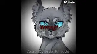 Goosefeather edit #music #warriorcats #edit #haveitoldyoulatelythatiloveyou #warriors