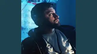 DOMINO