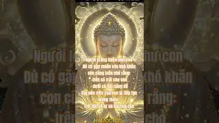 #short video#daophat  ĐẠO PHẬT V&Ocirc; THƯỜNG