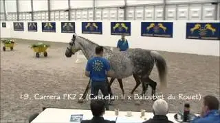 19  Carrera PKZ Z Veiling 2012