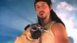 Pug Summer