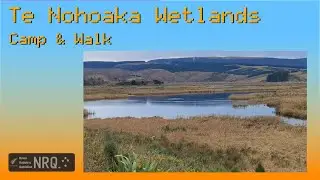 Solo car camping trip to Te Nohoaka Sinclair Wetlands in Otago, Aotearoa New Zealand
