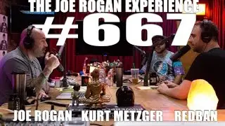 Joe Rogan Experience #667 - Kurt Metzger