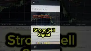 Strong Buy and Sell indicator testing #trading #howtoearnmoneyfromusstockmarket #forex