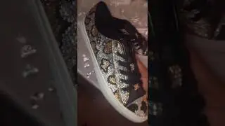 Custom Leopard Print Coach Shoes