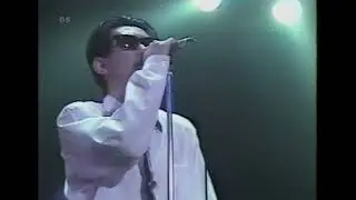 D-PROJECT - Tempest (LIVE)