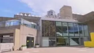 London's Hayward Gallery reopens with a 'great forest of art you can escape to'