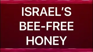 ISRAEL&rsquo;S BEE-FREE HONEY | WORLD&rsquo;S FIRST