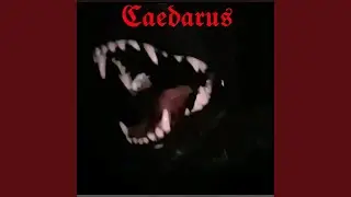 Dog Chow (Demo)