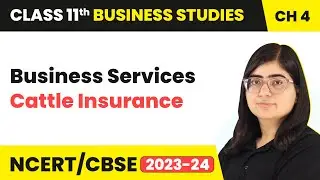 Cattle Insurance - Business Services | Class 11 Business Studies Chapter 4 | 2023-24