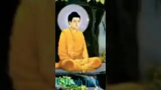 Buddhist Teachings: There are 3 very important things #shorts