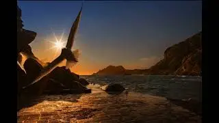 ز بال نا رسا بر خویش پیچیده است پروازم  (  غزل ناب بیدل دهلوی )  کمپوز و آهنگ **  اشهر **