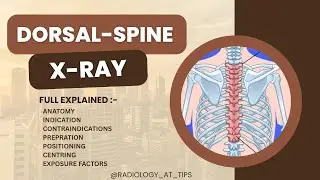 Dorsal Spine X-ray | Views, Positioning, Exposure & Anatomy in Simple Hindi