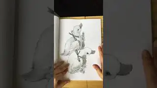 Whimsical art a grayscale colouring book by Hester Moult flip through