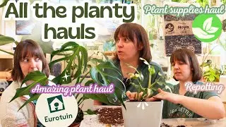 Покупка растений с работы 🌿Eurotuin🛍️ + покупка Sybotanica 🌱 и пересадка