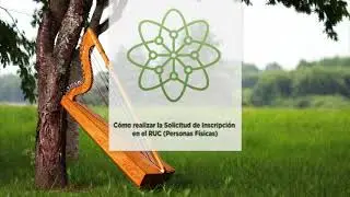 Solicitar inscripción en el RUC Personas Físicas