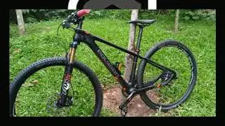 Polygon 29 Cozmic RX3