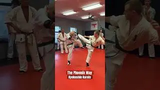 Kumite! Kyokushin Karate Green Belt Sparring at The Phoenix Way #karate #shorts #short #shortvideo