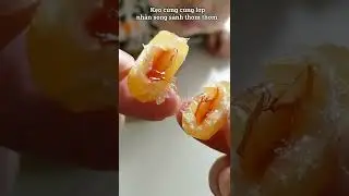 Best Fruit Flavored Candy | Kẹo tr&aacute;i c&acirc;y c&oacute; nh&acirc;n si&ecirc;u ngon!