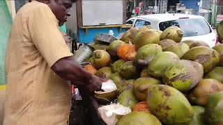 FRESH COCONUT FLESH and WATER COLLECTING |CUTTING COCONUT FOR ENTIRE FAMILY 