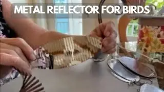 How I Finally Stopped Birds from Hitting My Windows with Reflective Discs