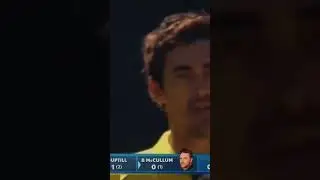 Starc Vs Brendon McCullum in CWC 2015 #mitchellstarc #brendonmccullum #cricket #cwc23 #shorts