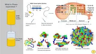 5 minute video on current research