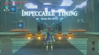 The Legend of Zelda: Breath of the Wild (Impeccable Timing)