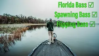 Florida Spawning Juice | Inside Scoop of February Florida Bass
