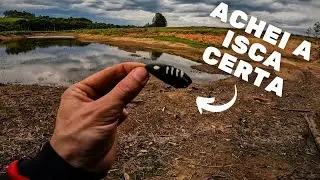 ESSE MINI FROG &Eacute; A ISCA PARA ESSAS TRAIRAS!