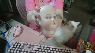 Antique German Bisque Doll Restoration Begins, with 