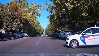 Молдавские 