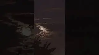Sunset and Moonlight #shortsvideo #shortsvideo #story  #newbeginnings #sunset #moonlight #blessed