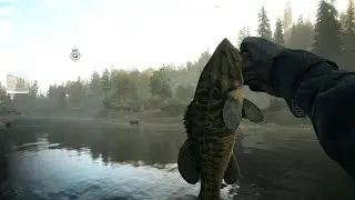 Far Cry 5 - Smallmouth Bass Challenge - Playstation 5
