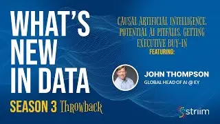 Causal Artificial Intelligence, potential AI pitfalls, getting executive buy-in
