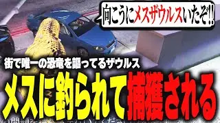 【ストグラ】メスザウルスに釣られて極悪犯罪者に捕獲されるオスザウルス【柳瀬つん/つんザウルス/切り抜き】