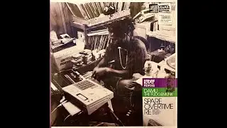 Damu The Fudgemunk - Picturesque Storm (Colorful Remix 2012 Update) [vinyl] 